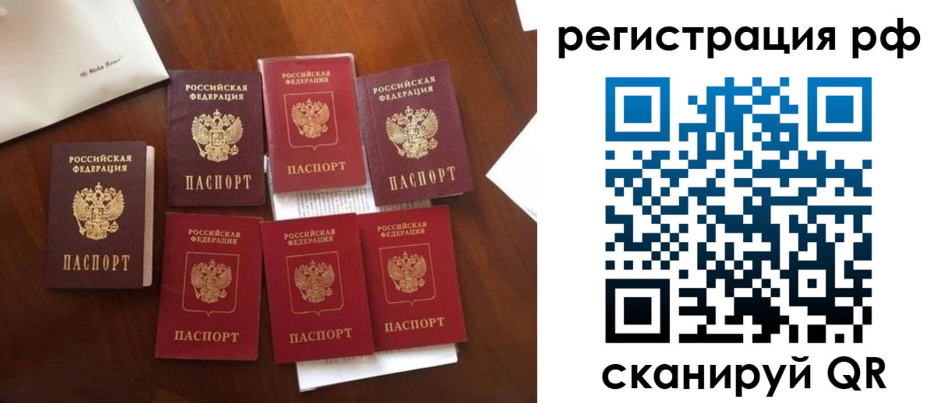пропишу в квартире в Смоленской области